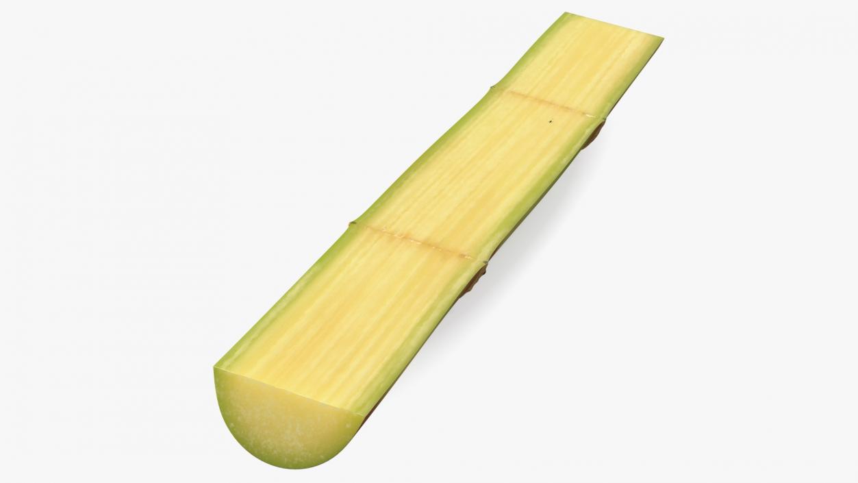 3D model Green Sugarcane Half Cut Piece