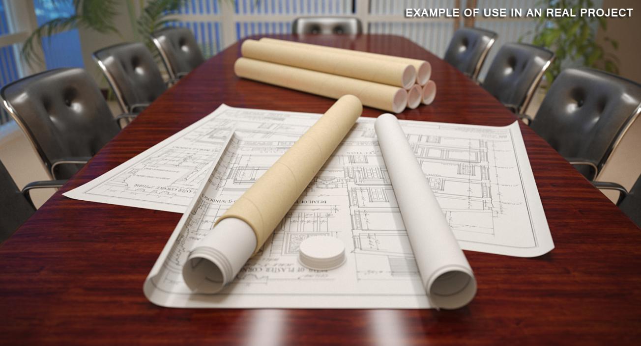 3D House Blueprints with Cardboard Tube