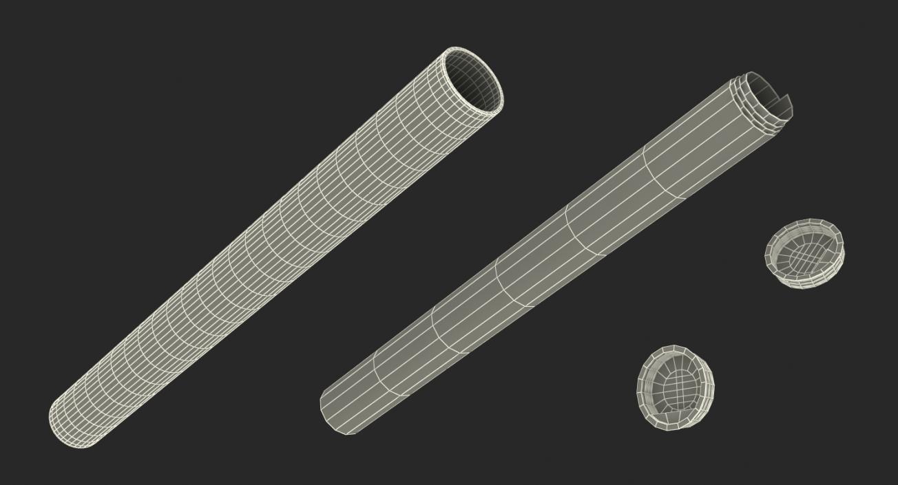 3D House Blueprints with Cardboard Tube