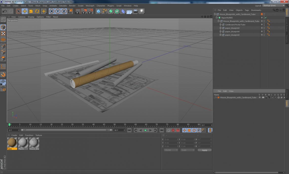 3D House Blueprints with Cardboard Tube