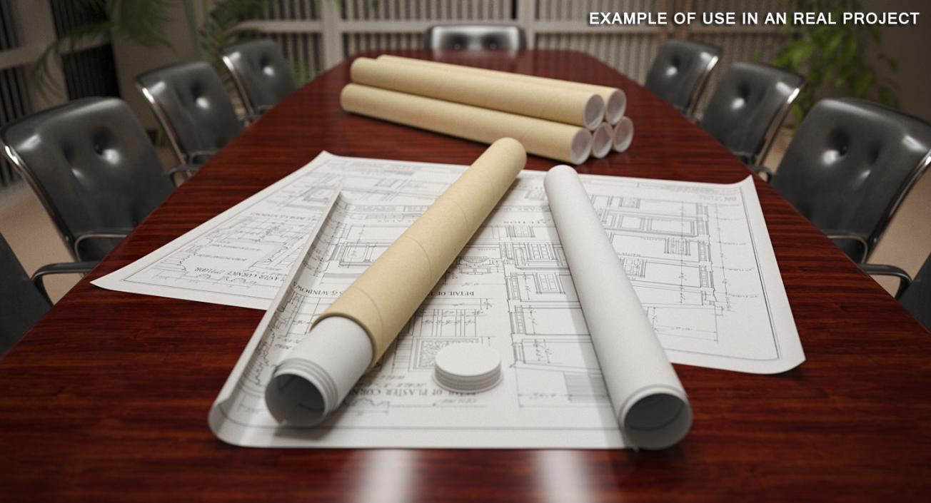 3D House Blueprints with Cardboard Tube