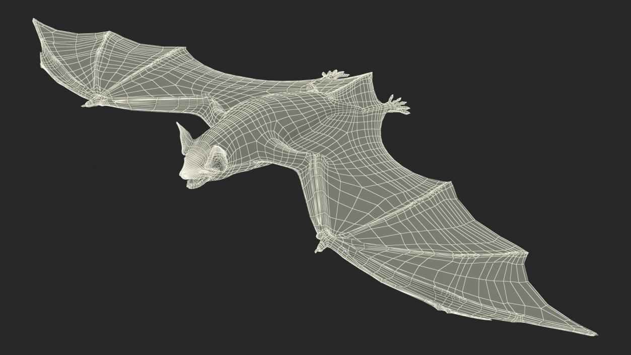 3D Black Bat Rigged