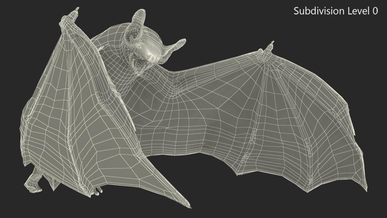 3D Black Bat Rigged