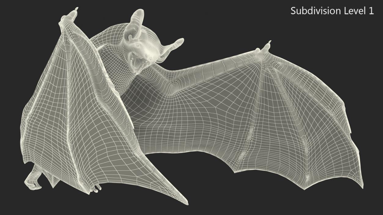 3D Black Bat Rigged