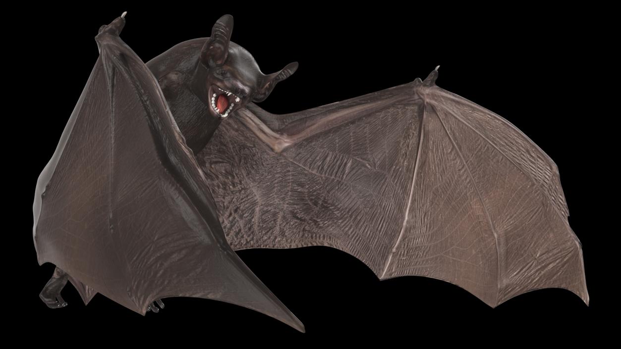 3D Black Bat Rigged