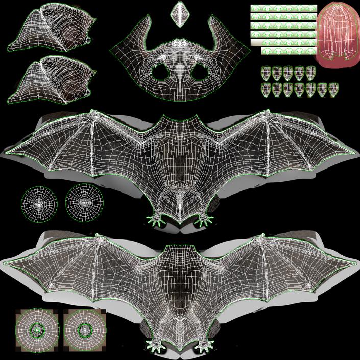 3D Black Bat Rigged