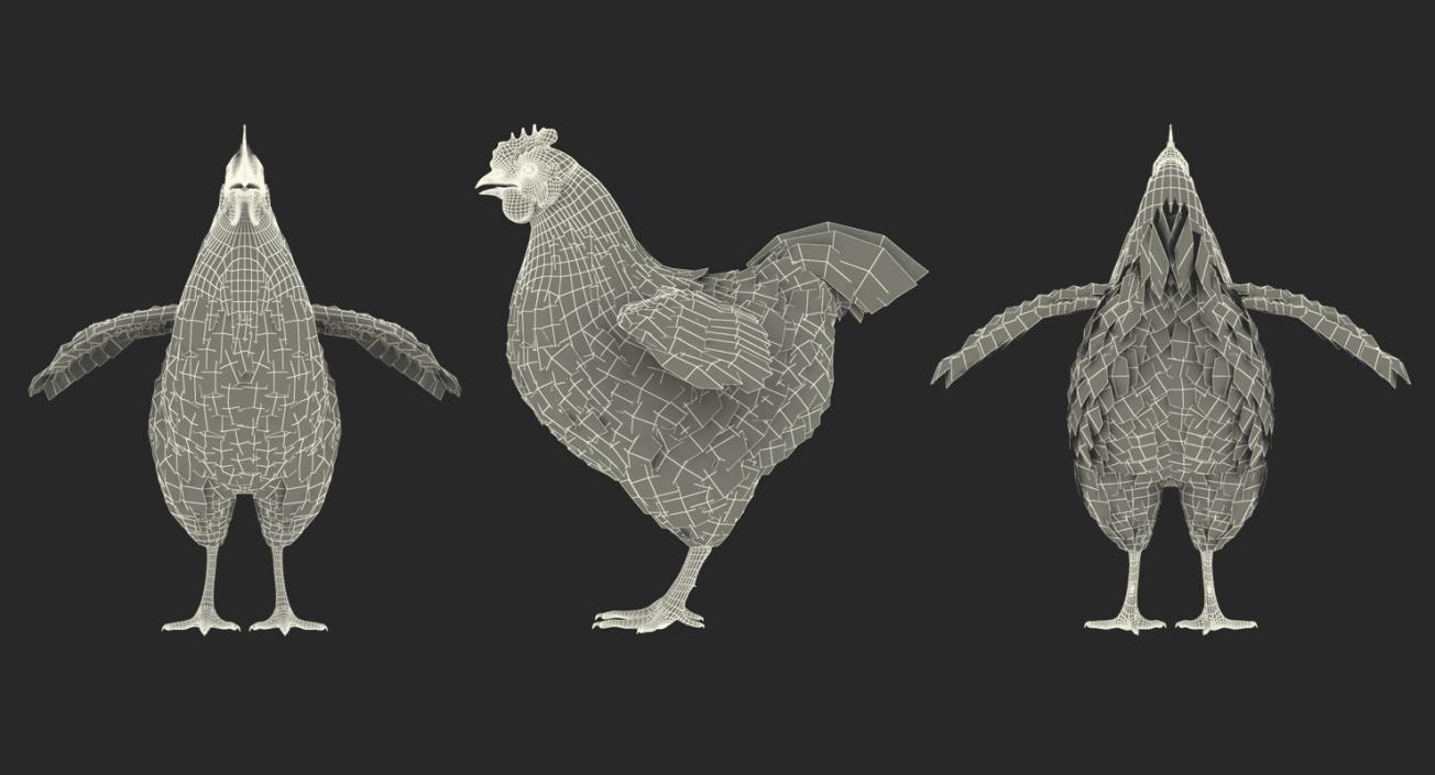 3D Chickens Collection 2