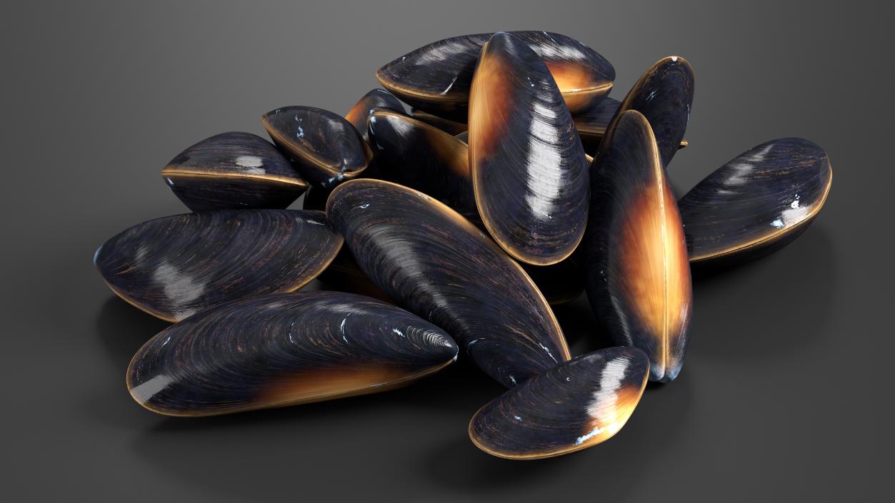 Bunch of Clams 3D model