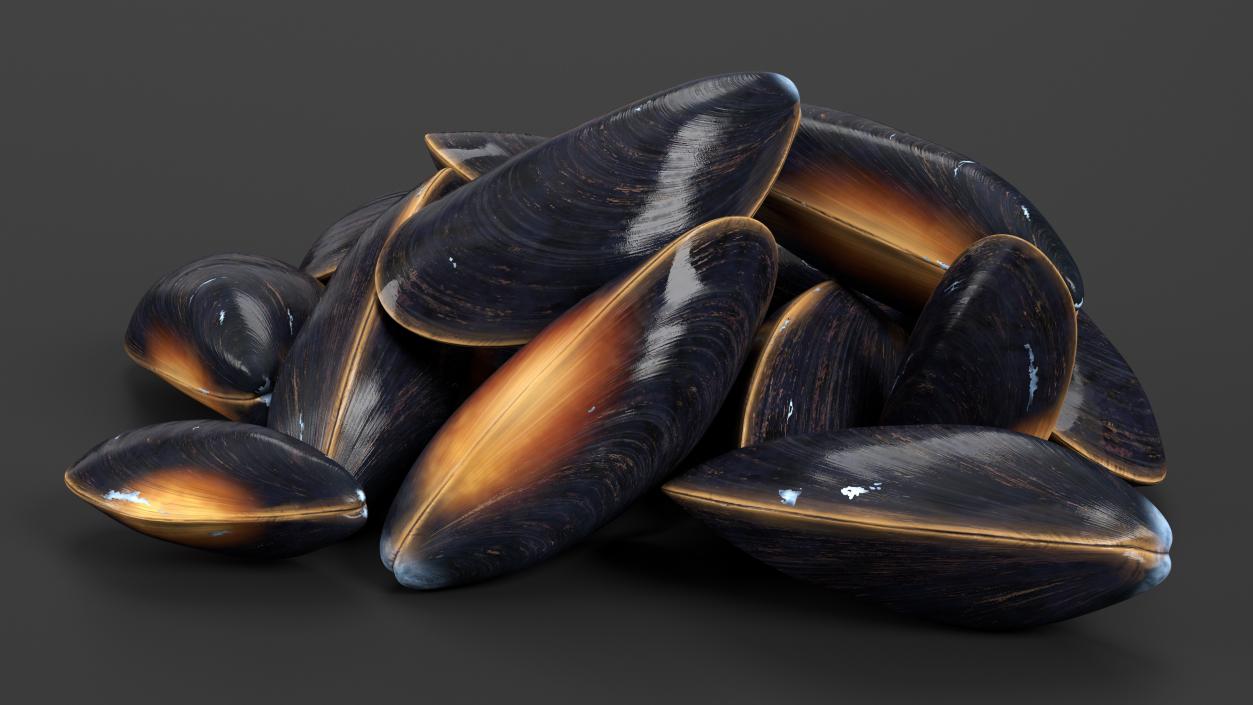 Bunch of Clams 3D model