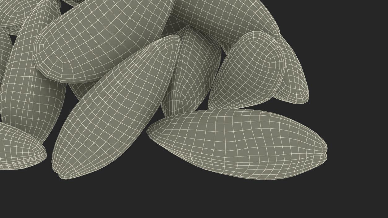 Bunch of Clams 3D model