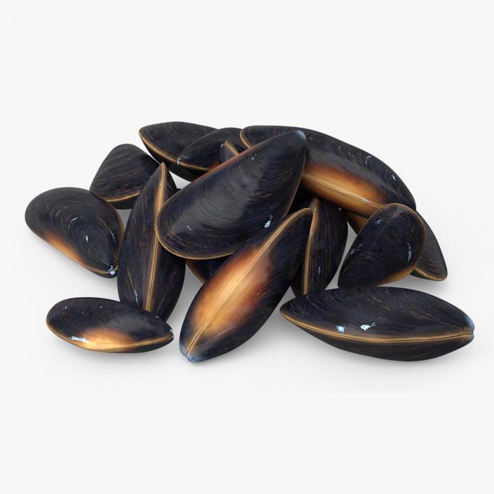 Bunch of Clams 3D model