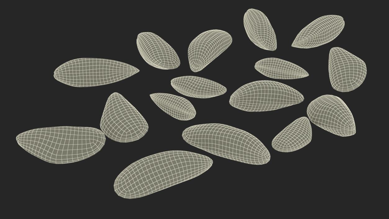 Bunch of Clams 3D model