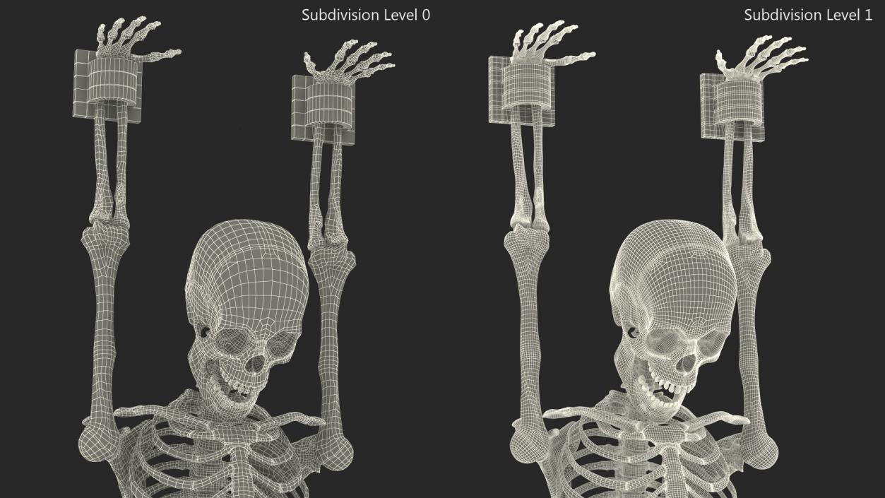 3D Human Male Remains Skeleton Shackled