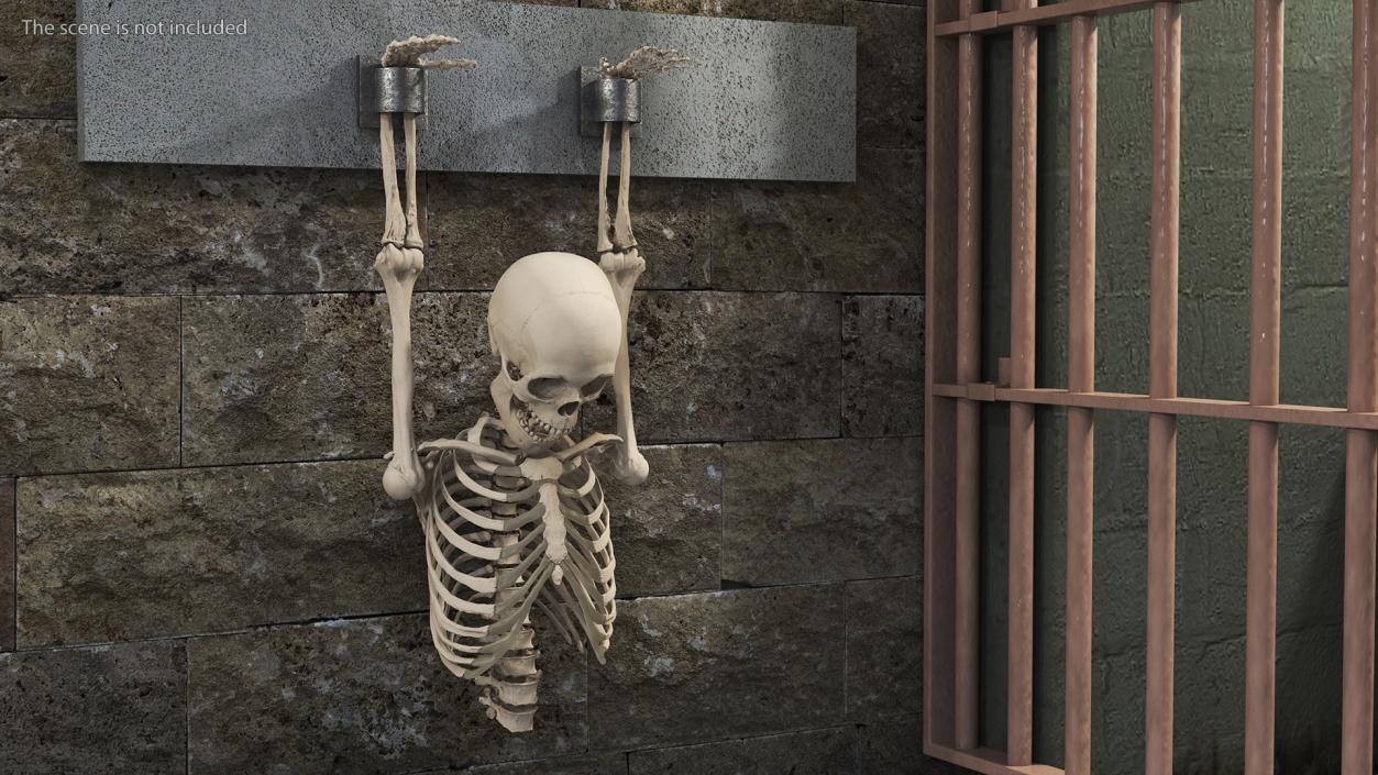 3D Human Male Remains Skeleton Shackled