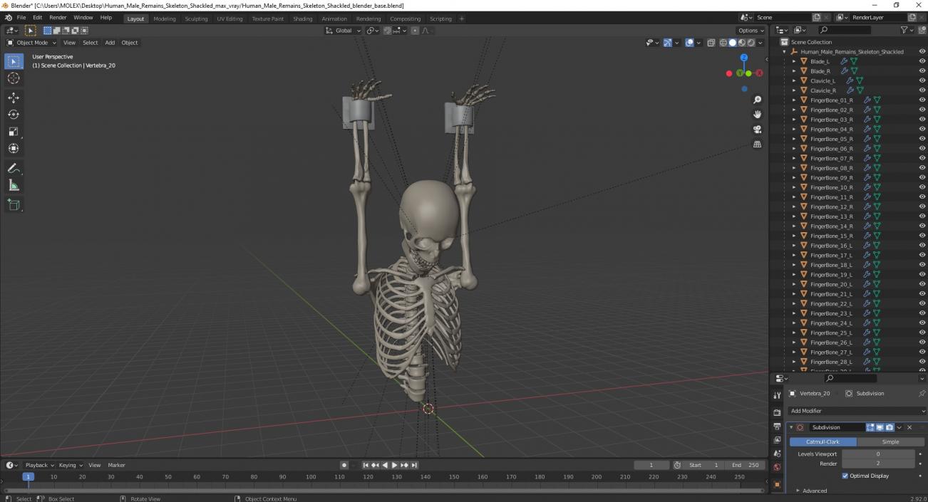 3D Human Male Remains Skeleton Shackled