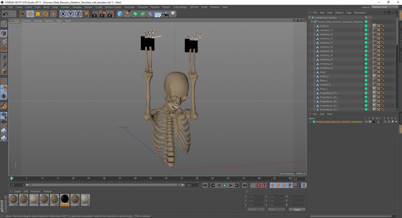 3D Human Male Remains Skeleton Shackled