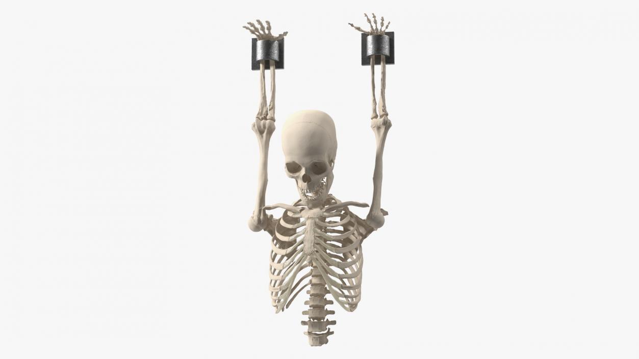 3D Human Male Remains Skeleton Shackled