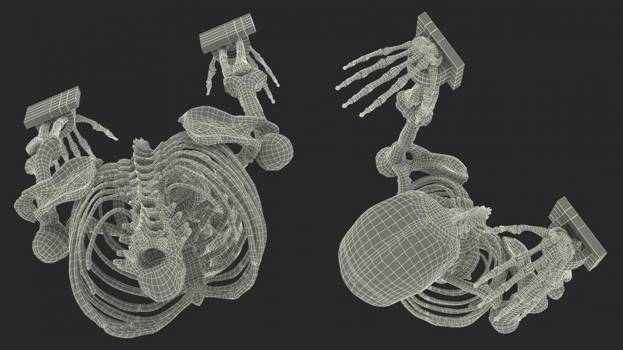 3D Human Male Remains Skeleton Shackled