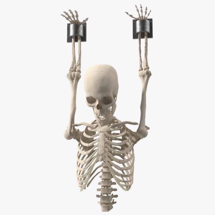 3D Human Male Remains Skeleton Shackled