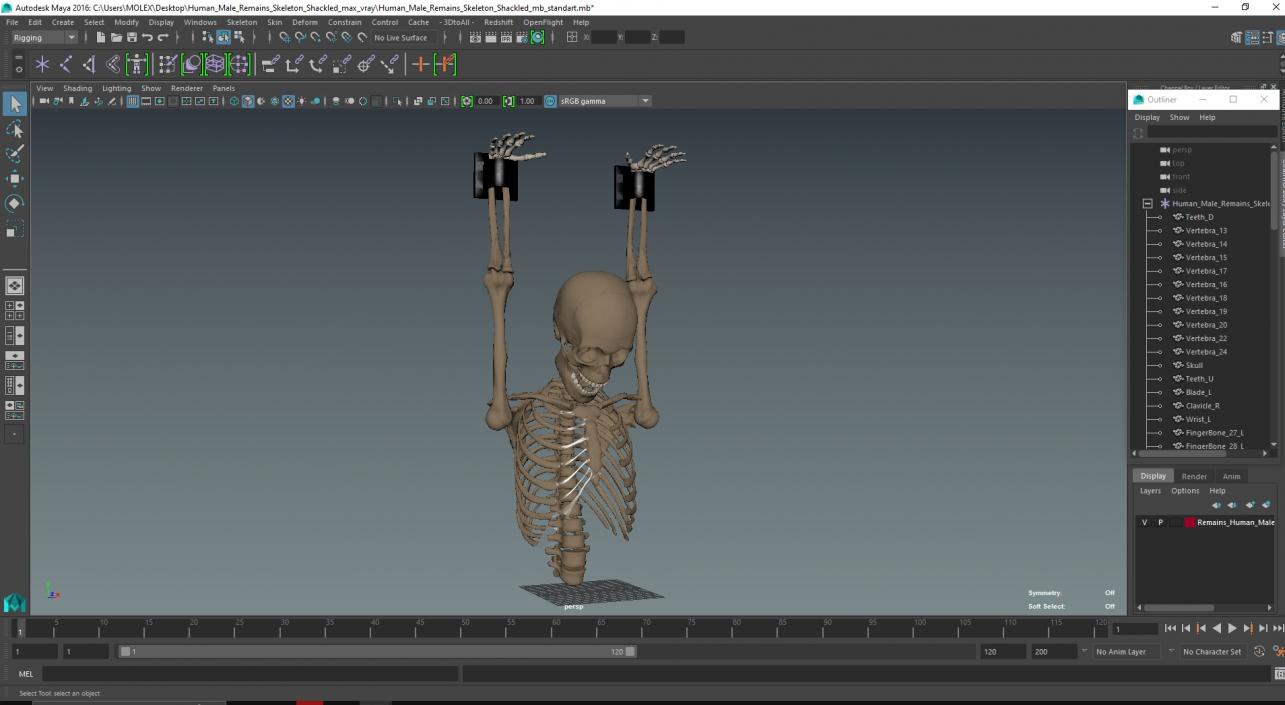 3D Human Male Remains Skeleton Shackled