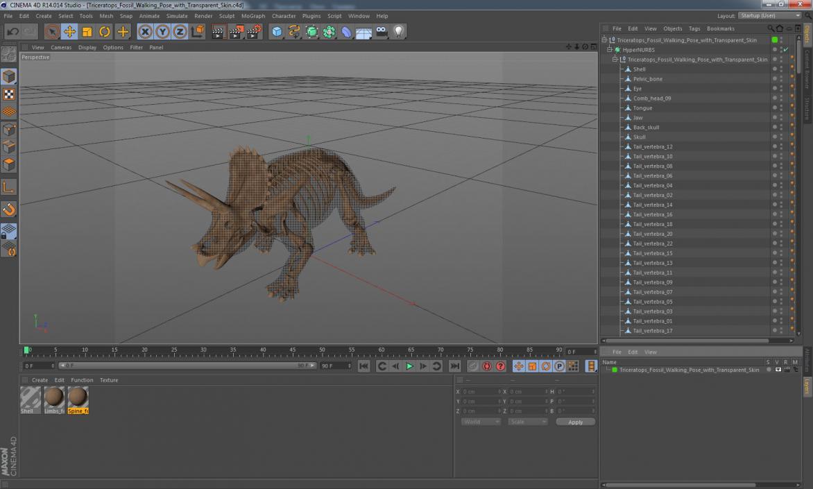 3D Triceratops Fossil Walking Pose with Transparent Skin model