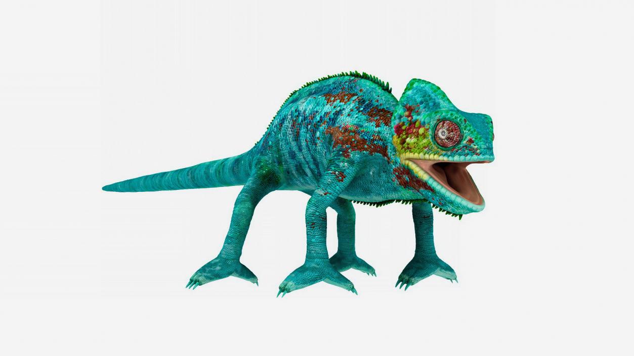 Panther Chameleon 3D