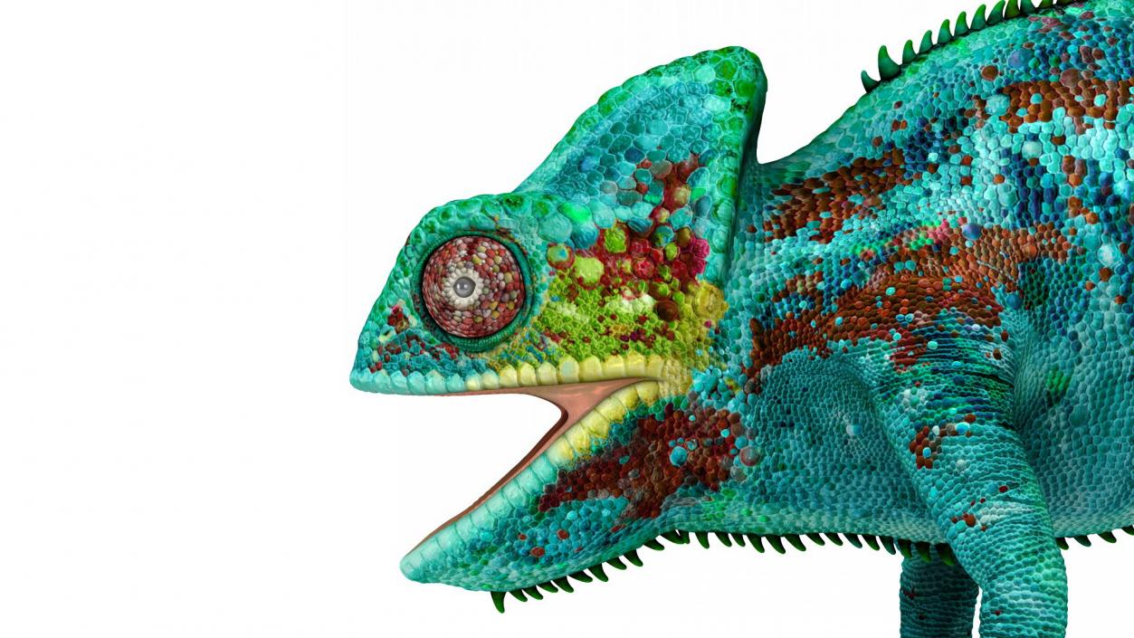 Panther Chameleon 3D