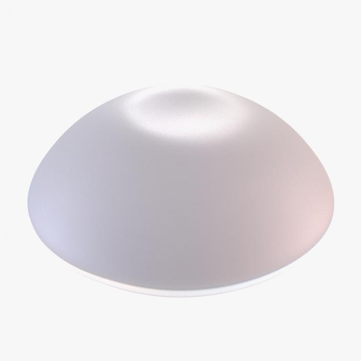 3D Textured Full Breast Implant model