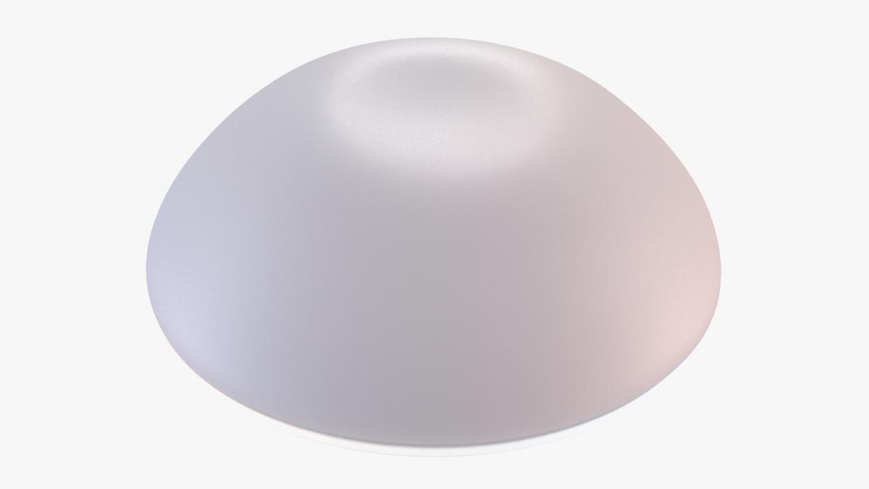 3D Textured Full Breast Implant model