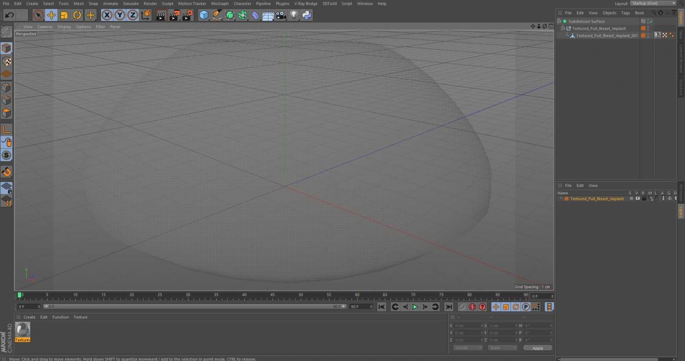 3D Textured Full Breast Implant model