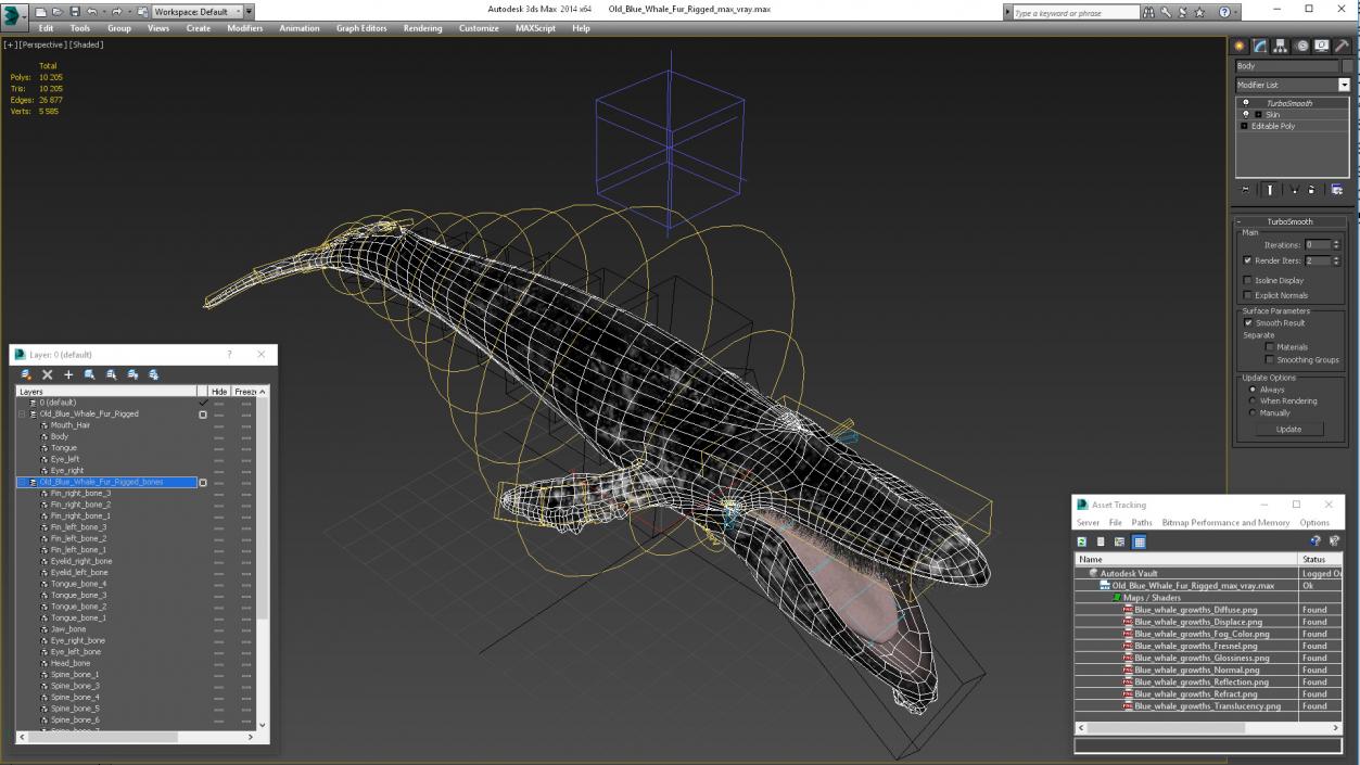 3D model Old Blue Whale Fur Rigged