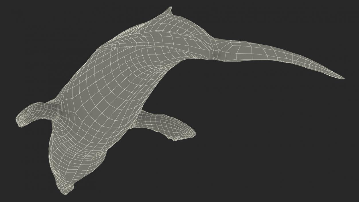 3D model Old Blue Whale Fur Rigged