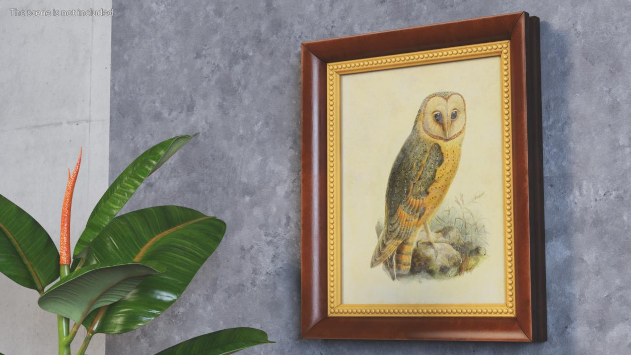 3D Owl Picture in Vintage Frame model