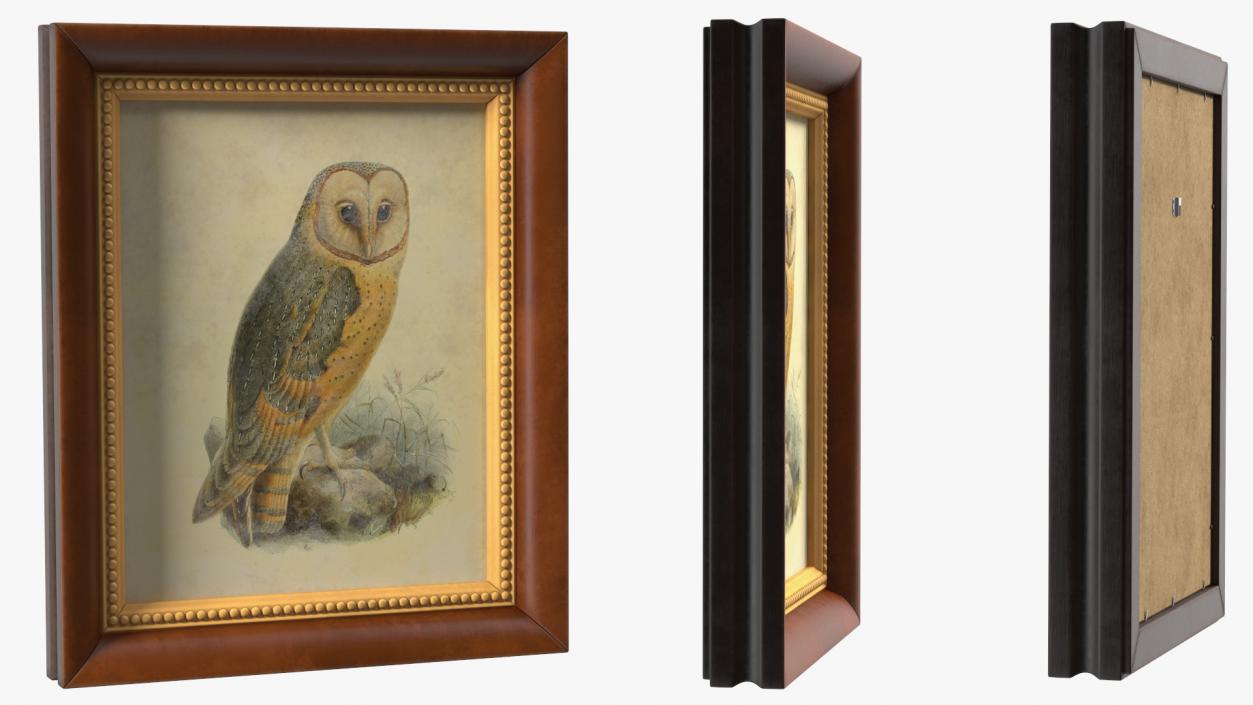 3D Owl Picture in Vintage Frame model