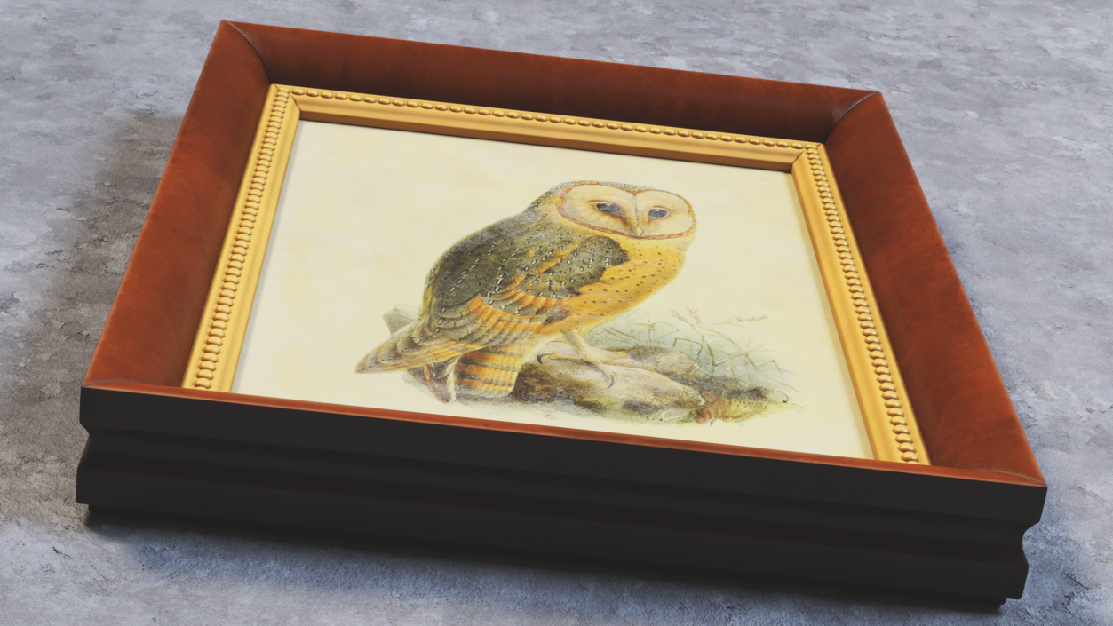 3D Owl Picture in Vintage Frame model