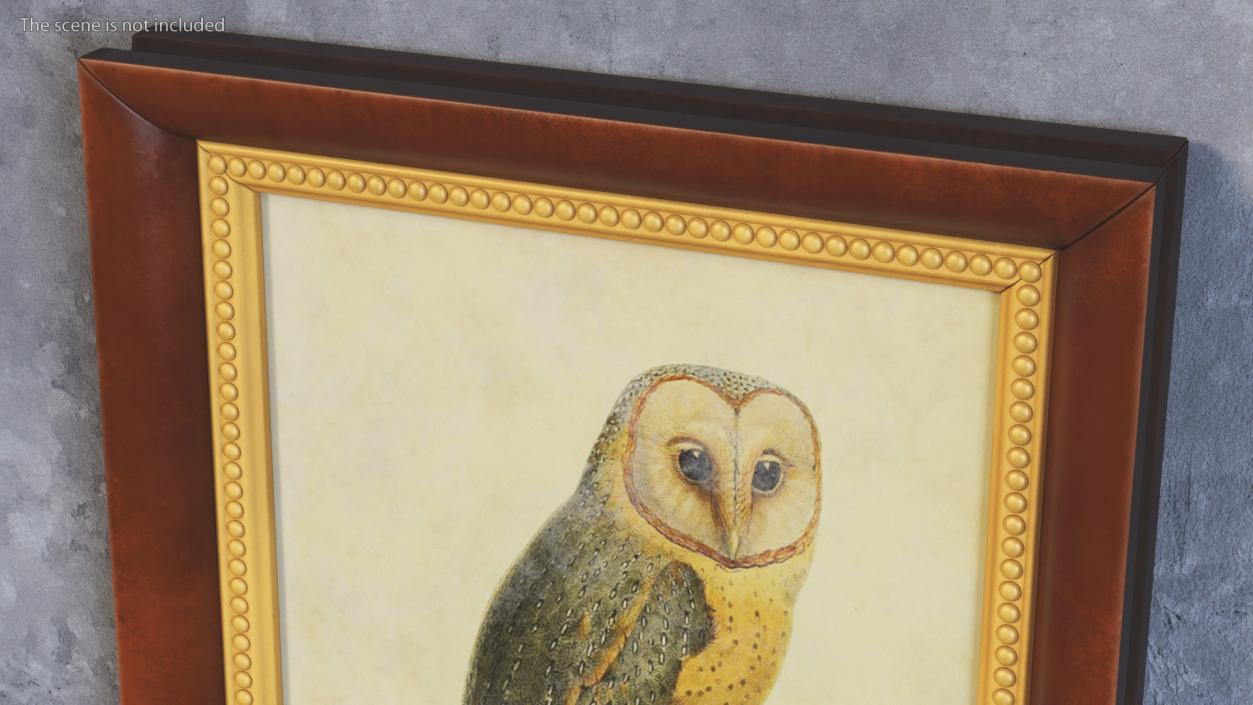 3D Owl Picture in Vintage Frame model