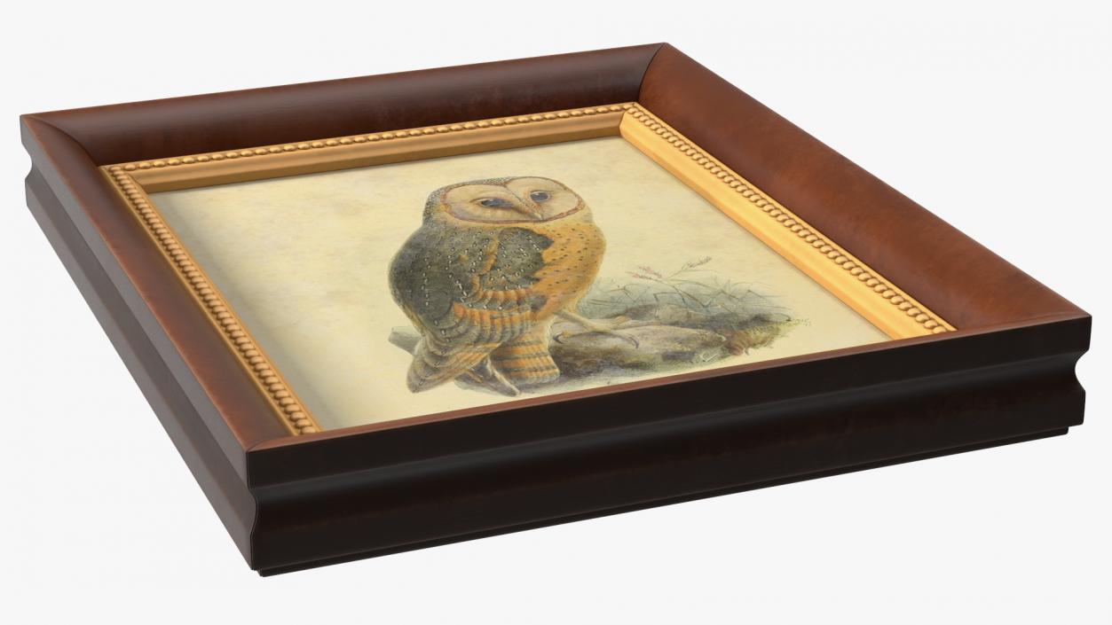 3D Owl Picture in Vintage Frame model