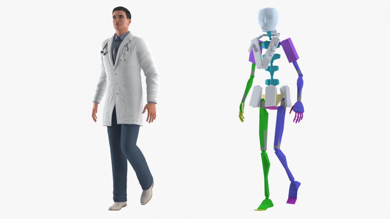 3D Male Doctor Rigged model