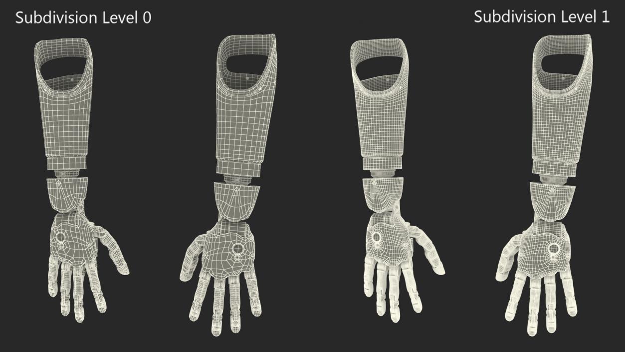 Brain Controlled Prosthetic Arms Rigged 3D model