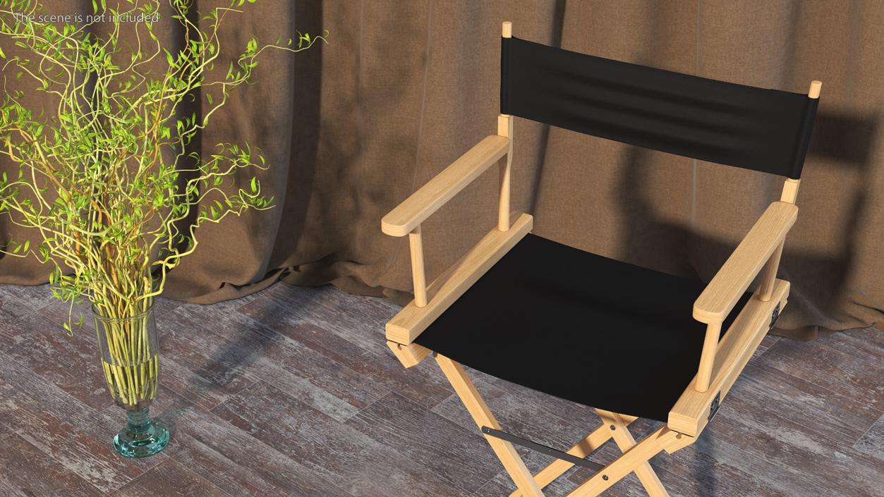 3D model Directors Chair Wooden Classic