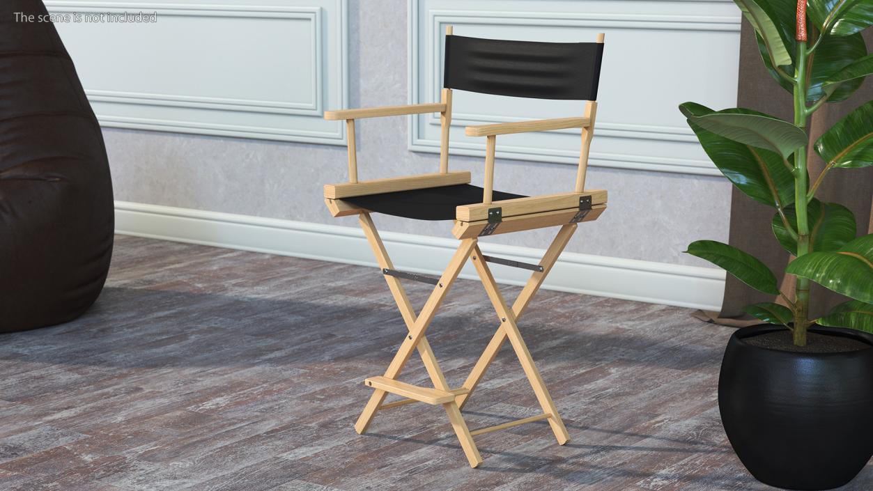 3D model Directors Chair Wooden Classic