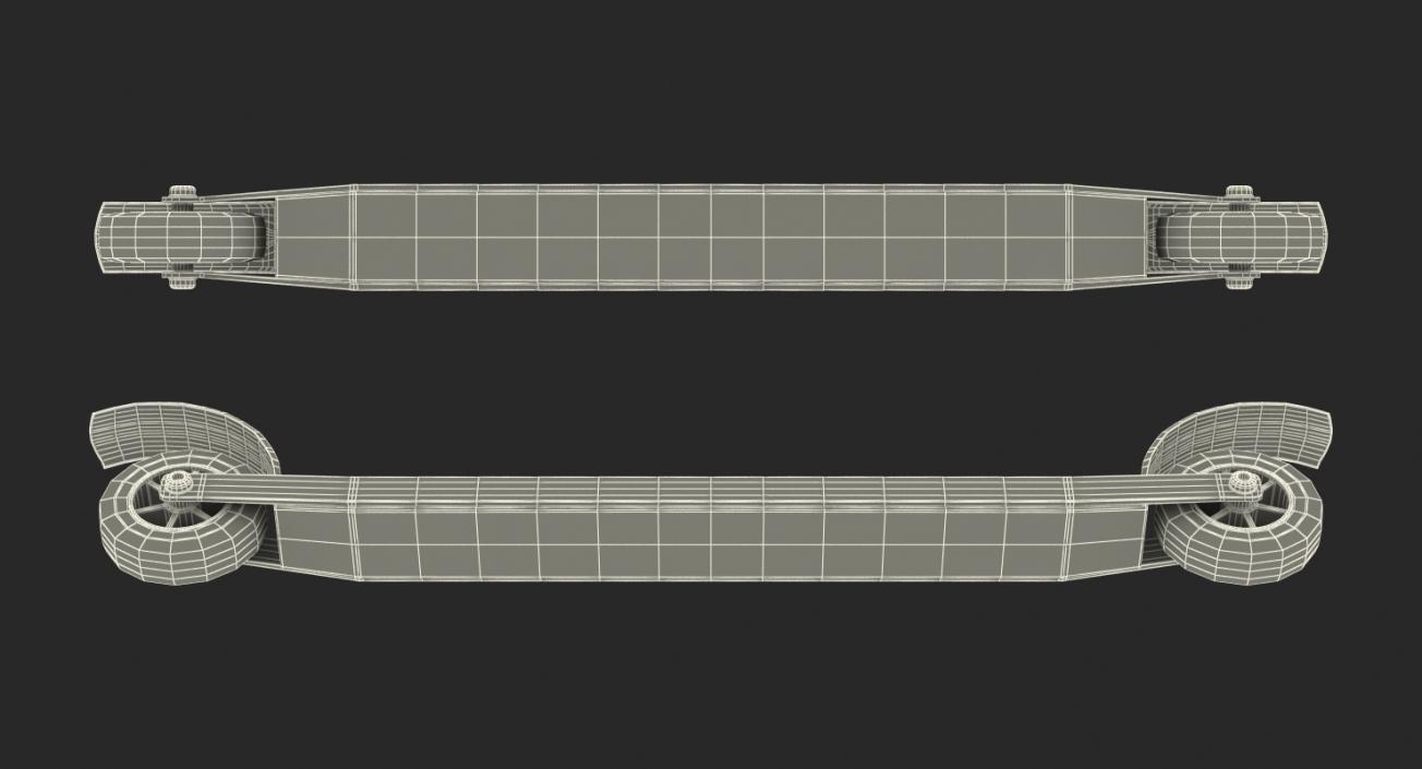 Roller Skis Generic 3D model