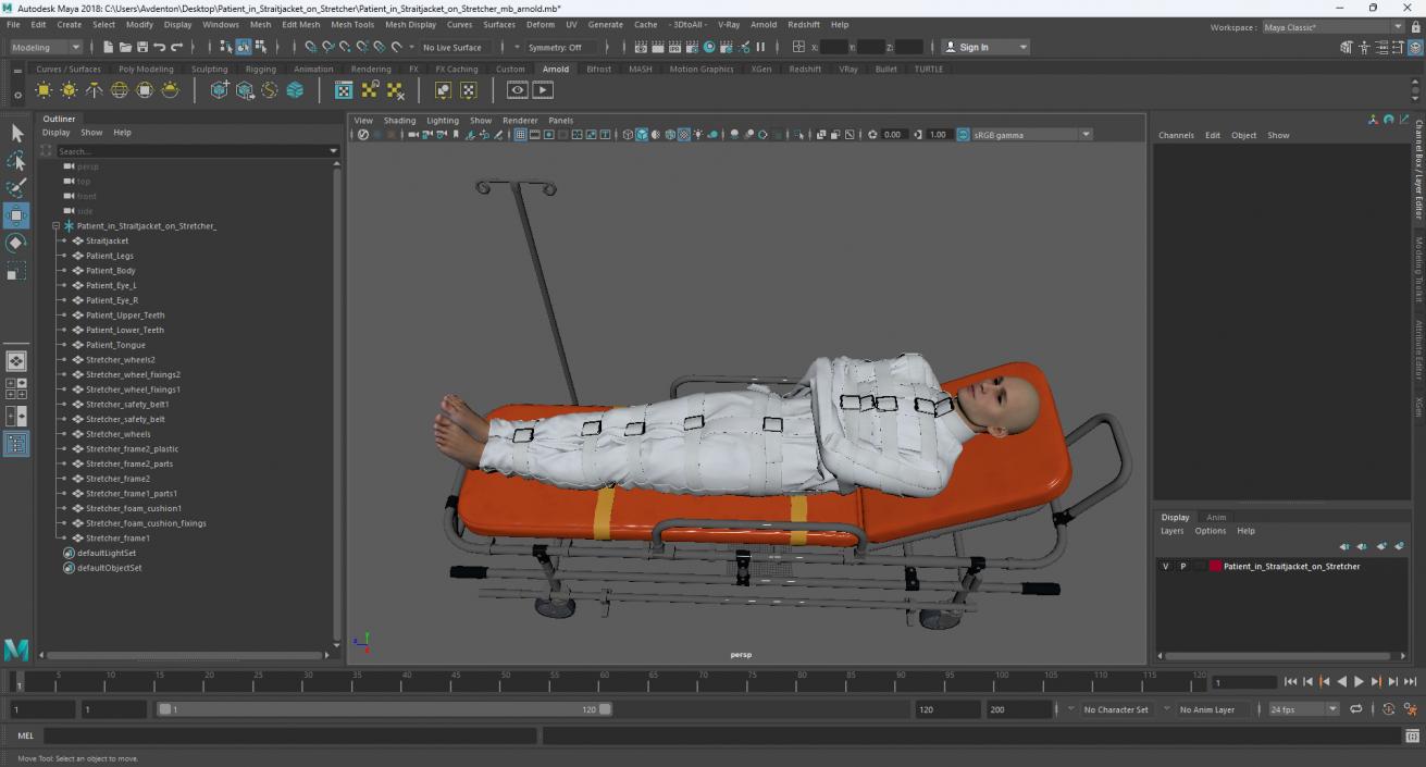 3D Patient in Straitjacket on Stretcher