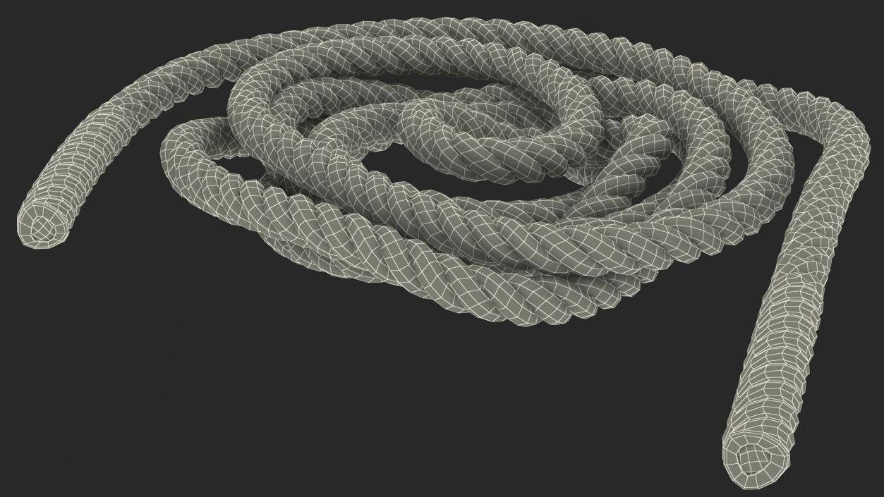 Pure2Improve Workout Battle Rope 3D