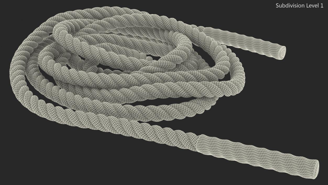 Pure2Improve Workout Battle Rope 3D