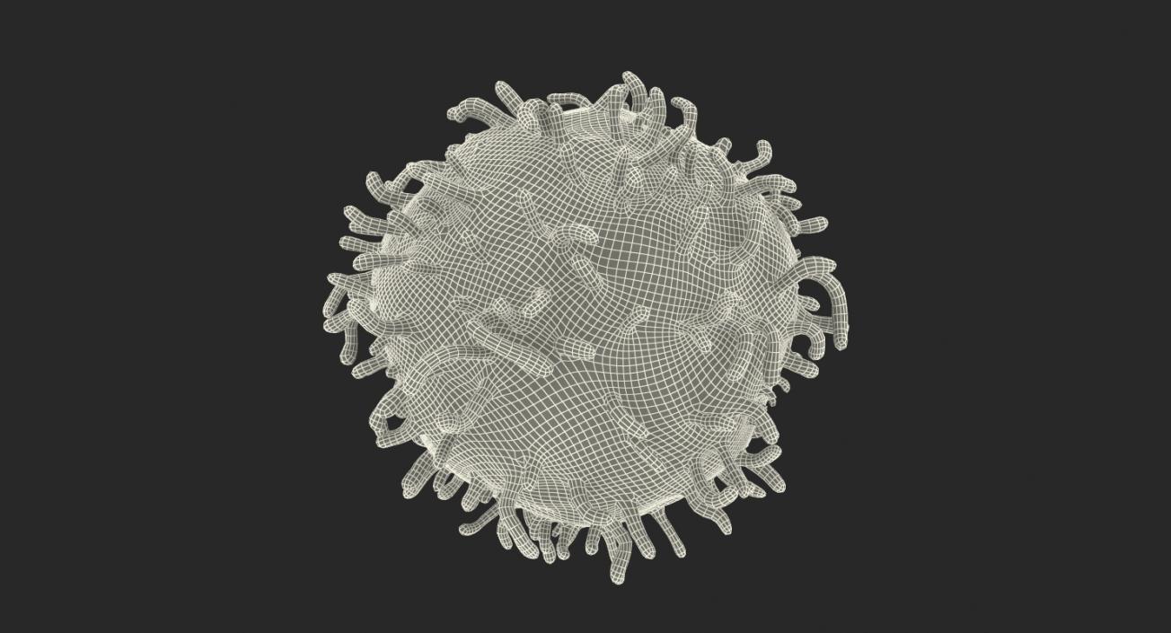 Human Viruses Collection 3D model