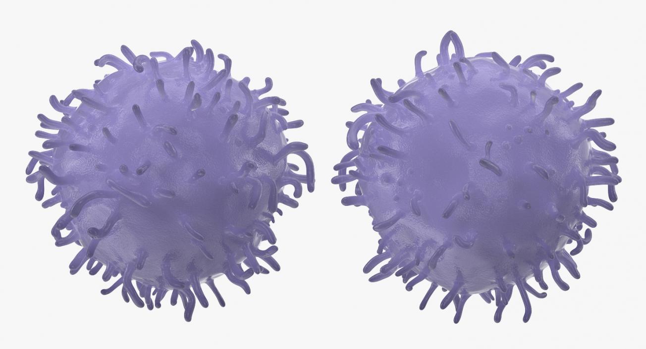 Human Viruses Collection 3D model