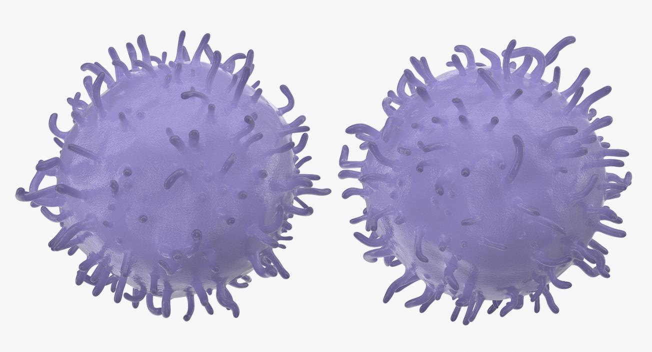 Human Viruses Collection 3D model