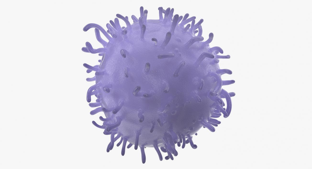 Human Viruses Collection 3D model