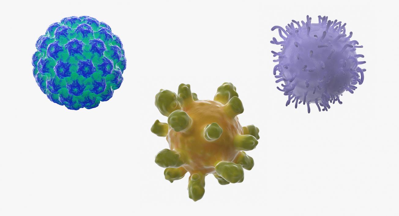 Human Viruses Collection 3D model